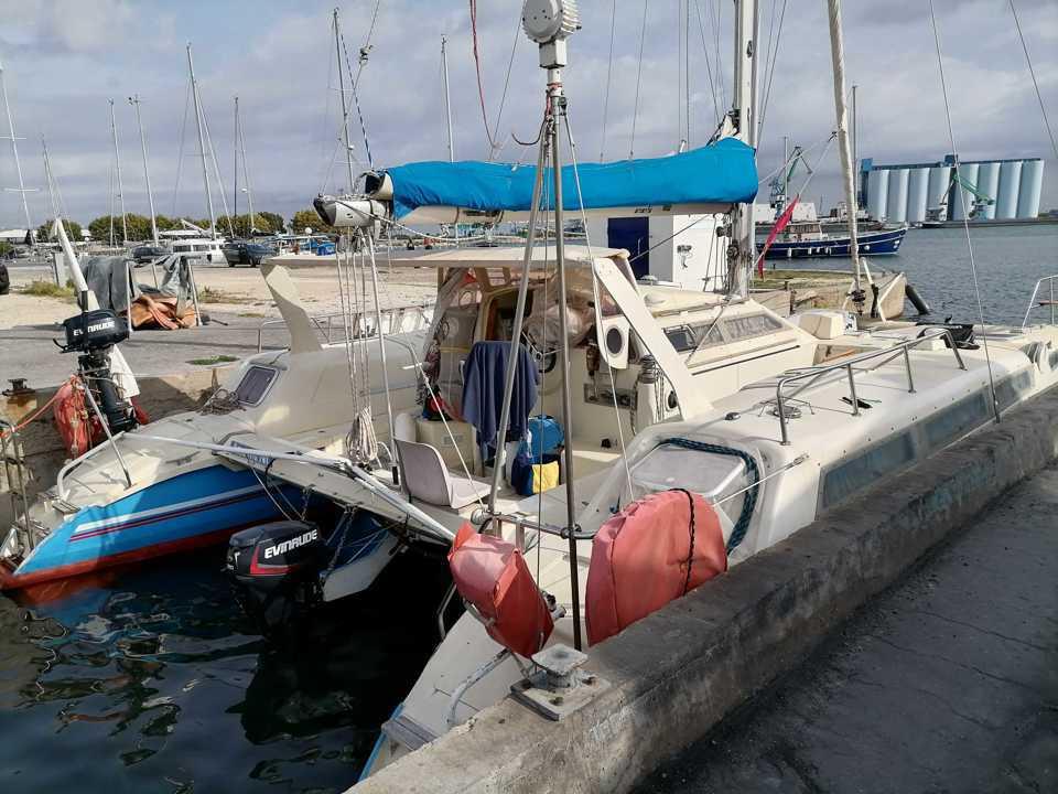 edelcat Edelcat 35