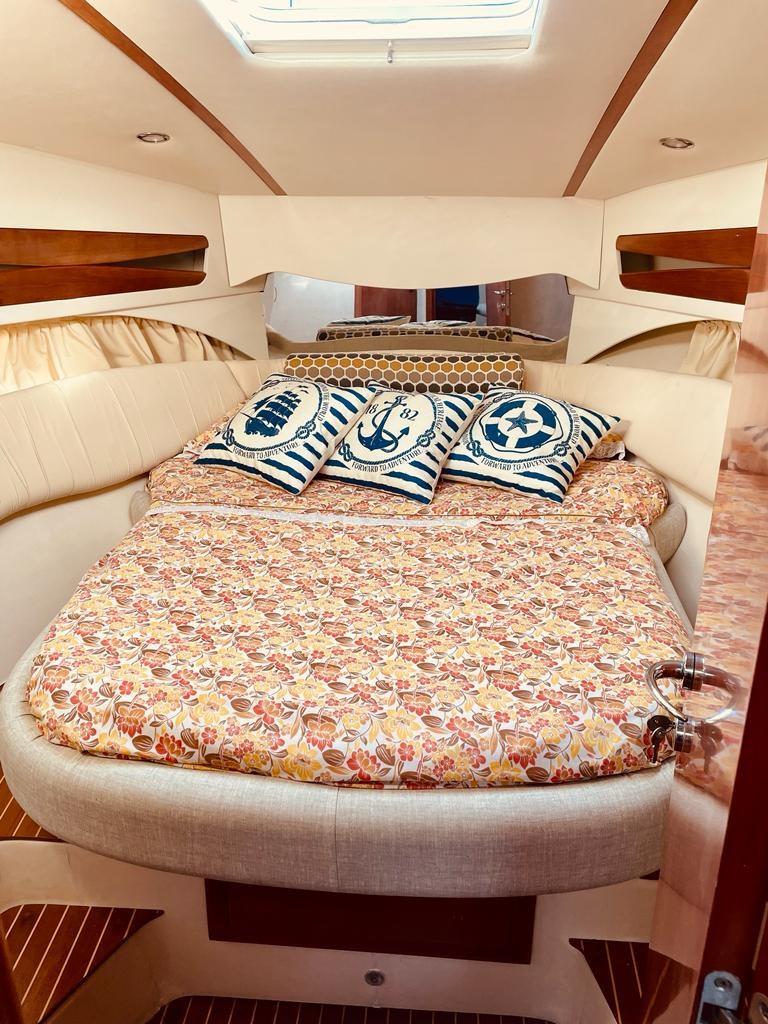 abbate bruno Primatist g 41