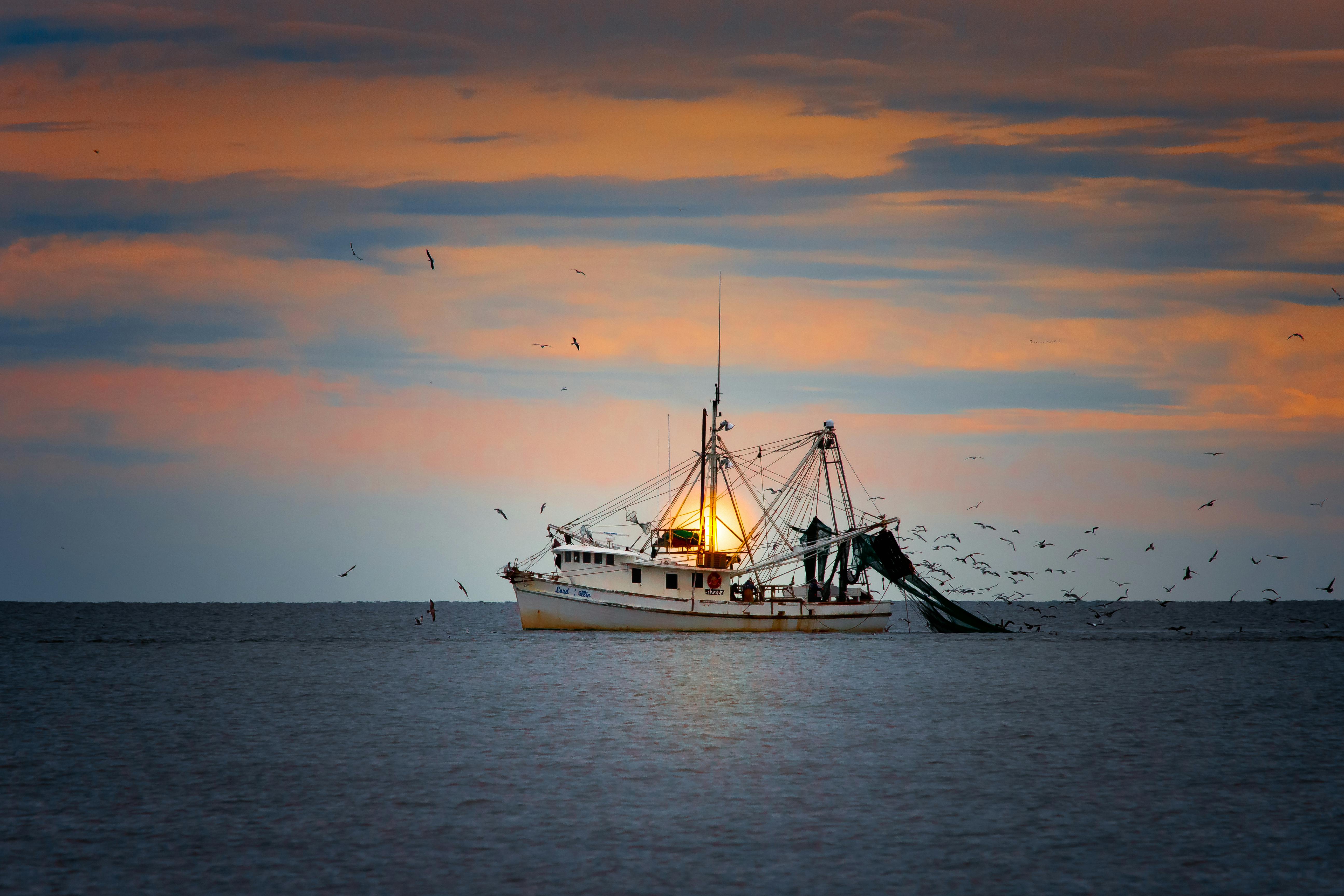 bateau de pêche