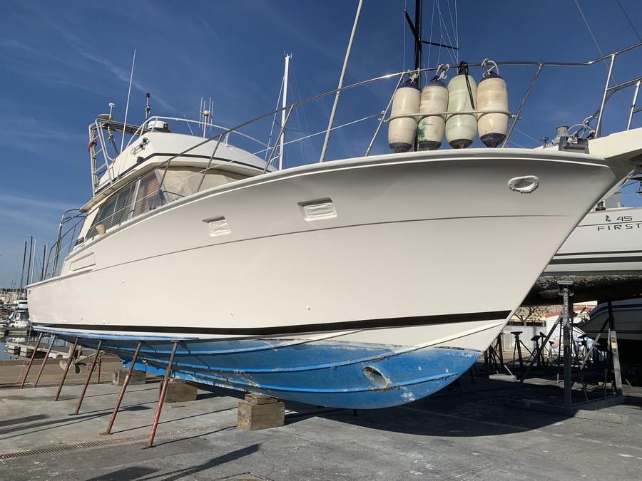 bertram bertram 46.6