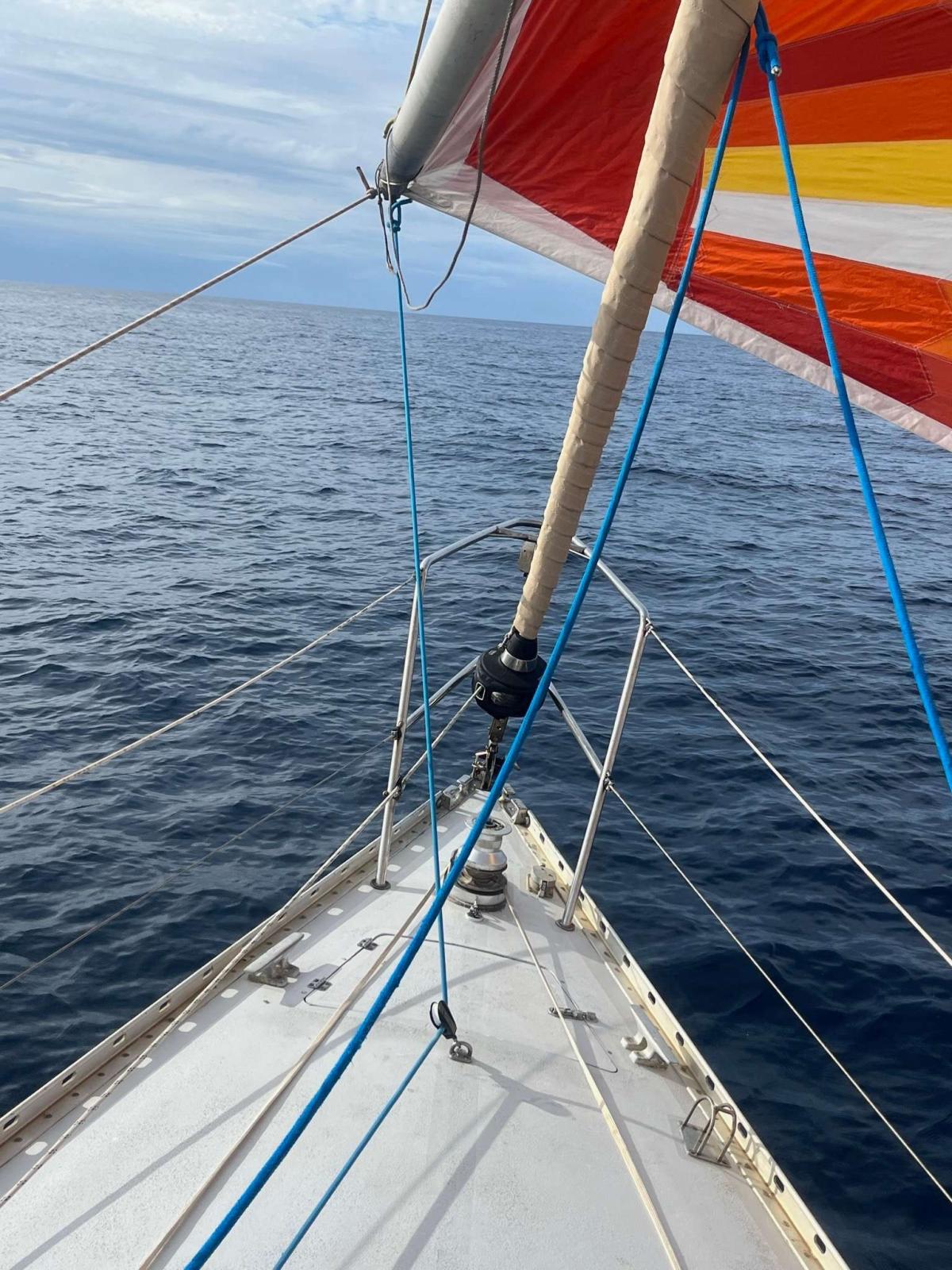 Vitech Marine 35 Race
