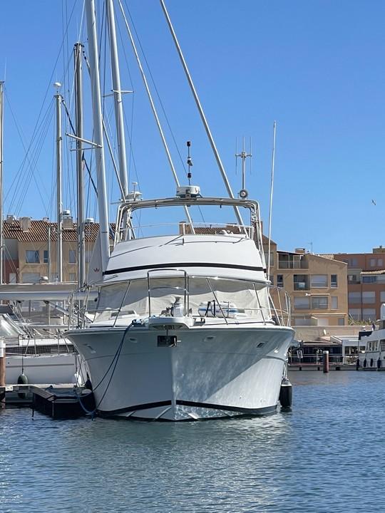 bertram bertram 46.6
