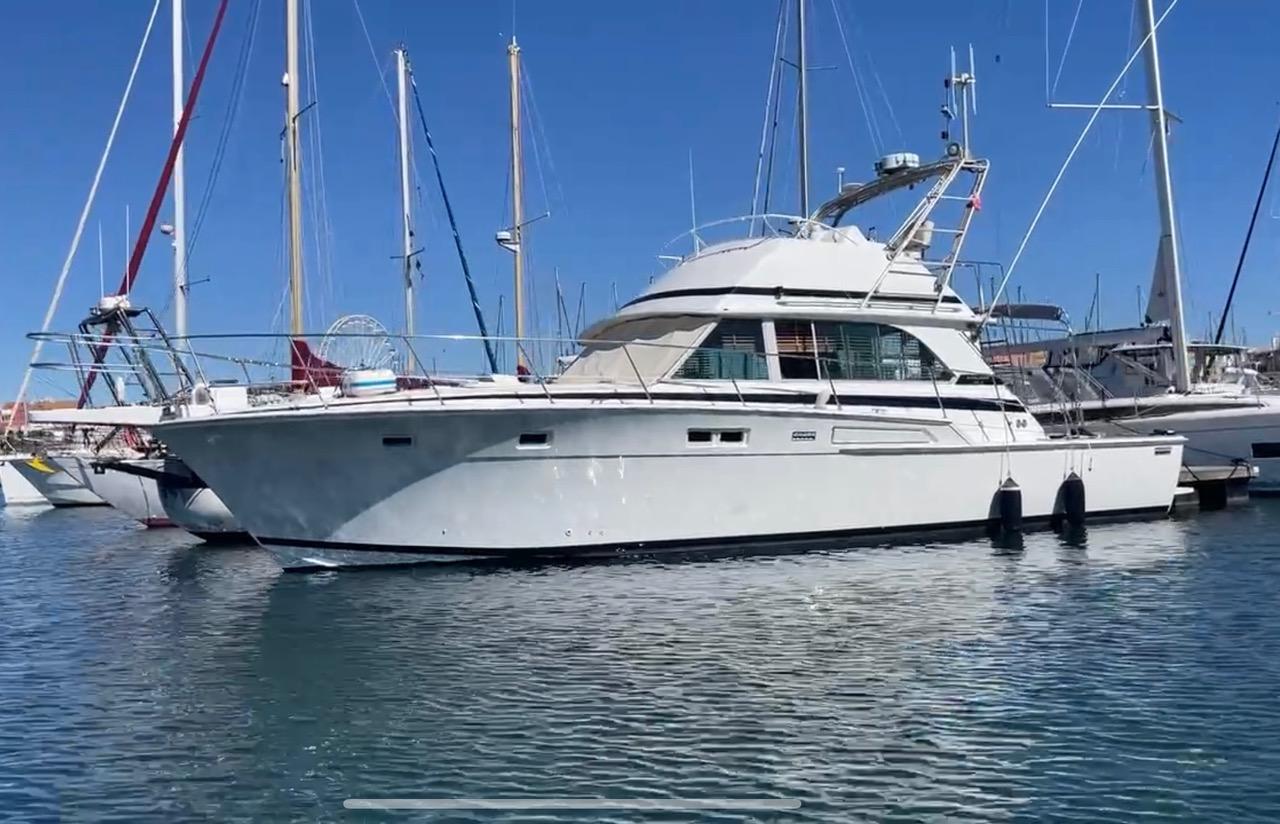 bertram bertram 46.6